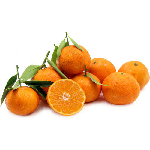 Stem and Leaf Clementine